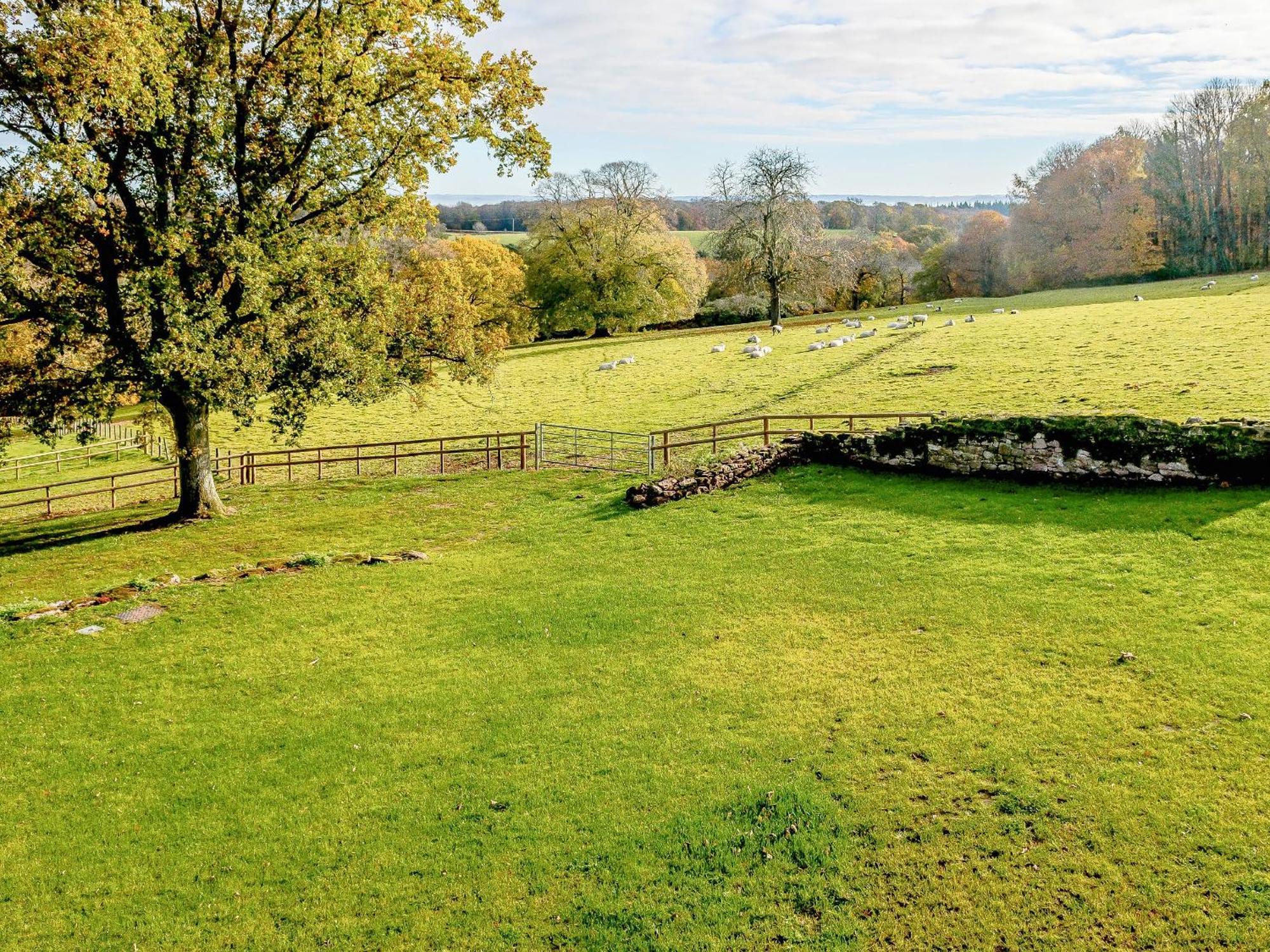 Owl Barn -- Uk30757 Vila Bream Exterior foto